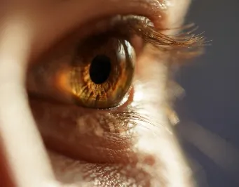 Close-up illustration of the human eye with fun fact labels