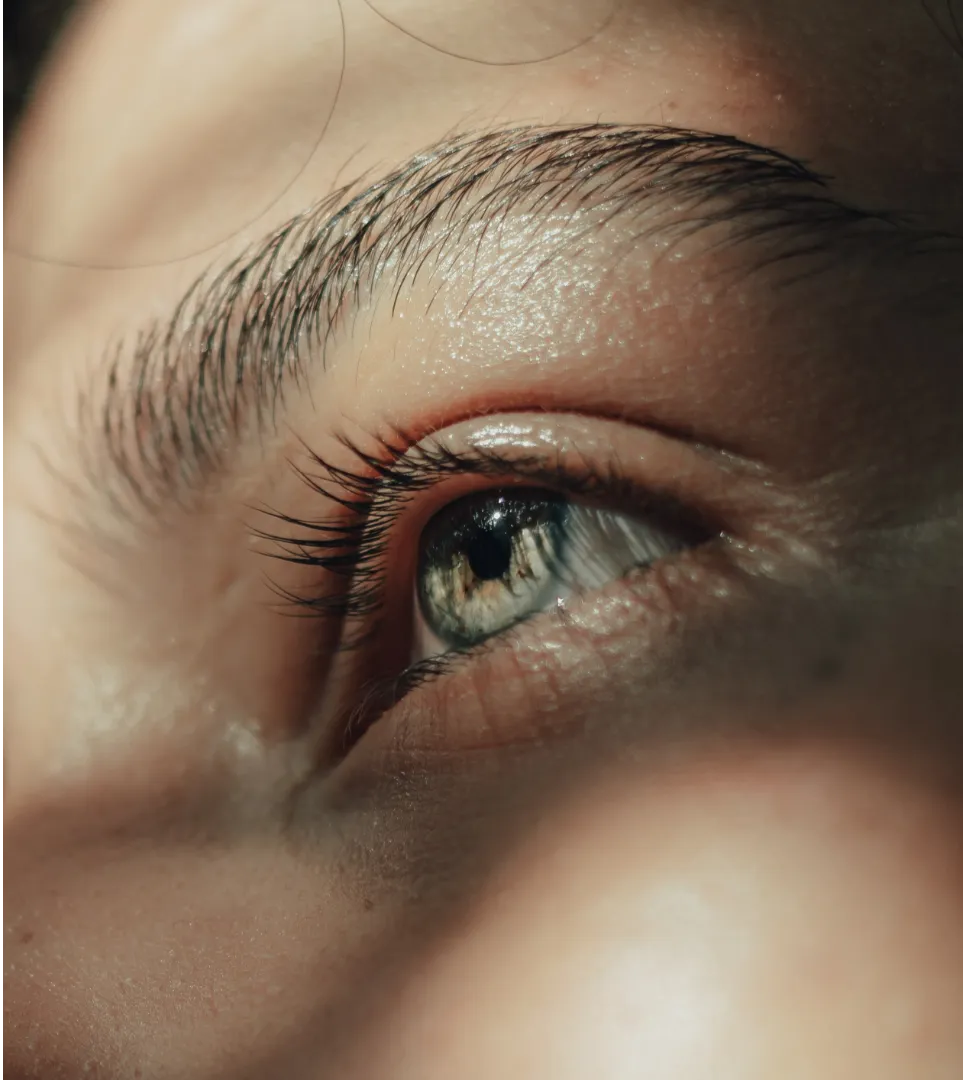 Extreme close-up of a person's eye and eyebrow