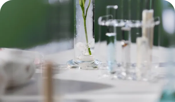 Preservative-free clear-glass test tubes with greenery